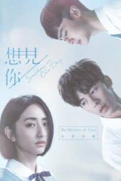 Someday or One Day (2022)