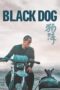 Black Dog (2024) Black Dog (2024)