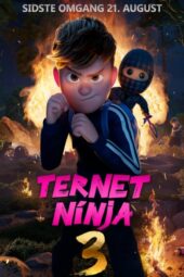 Checkered Ninja 3: Ternet Ninja 3 (2025)