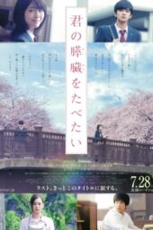 Let Me Eat Your Pancreas (2017)