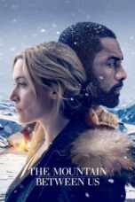 The Mountain Between Us (2017) The Mountain Between Us (2017)