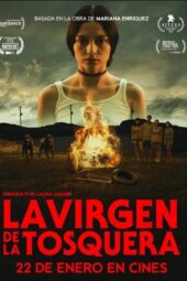 The Virgin of the Quarry Lake (2026)