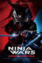 Ninja Wars: Black Fox vs Shogun's Ninja (2026)